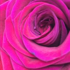 Meet your Posher, Kelley